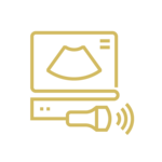 Ultrasound Icon